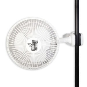 clip-fan-4