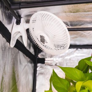 clip-fan-6