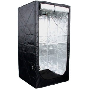 carpa 2